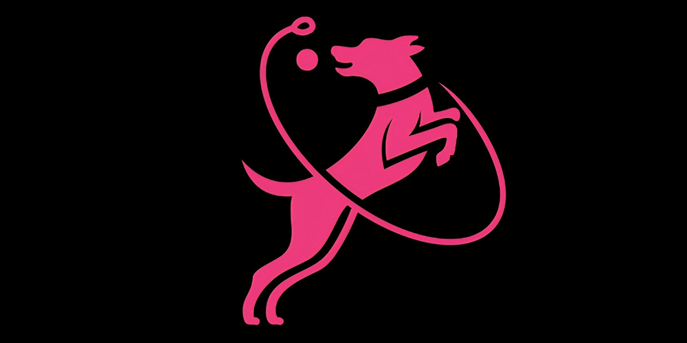 Unleashed Dog Training, Bourne