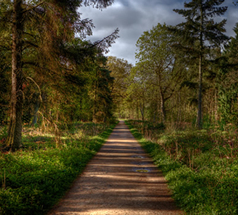 The Wellhead Park & Gardens, Bourne