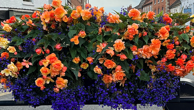 Bourne Flower Display, Bourne